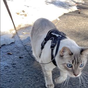 Meet your Posher, Ely